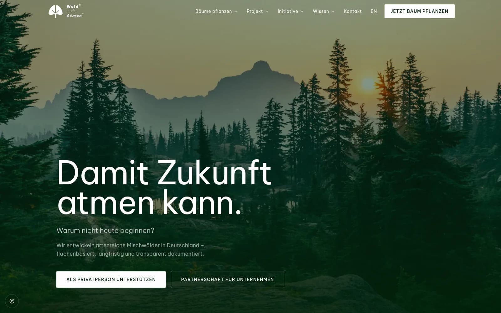 Screenshot der Website Wald Luft Atmen