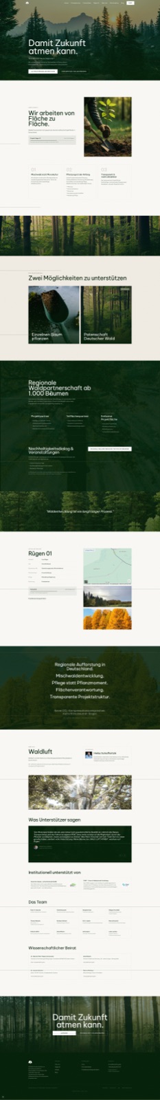 Startseite des Next.js-Neubaus
